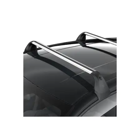 Orig. Toyota Dachreling Traverse Satz Pw30102001