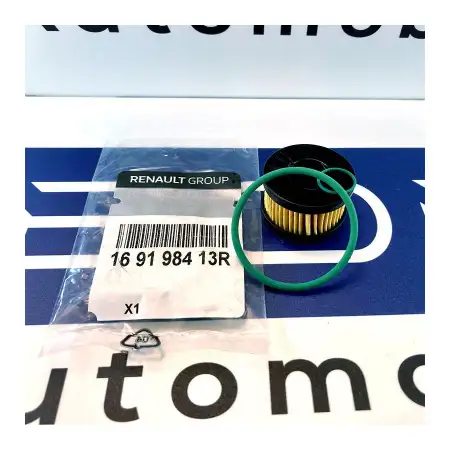 Orig. Renault Gasfilter 169198413r