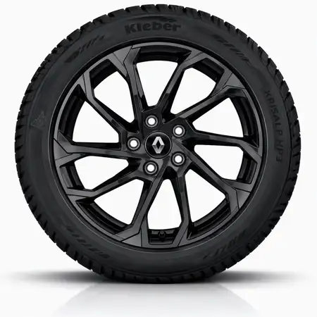 Orig. Renault 19 Zoll Winterr&auml;der Sc&eacute;nic E-Tech Electric Alu RE8 205/55 R19