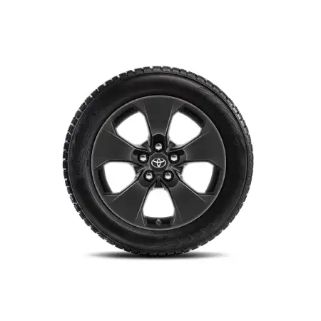 Orig. Toyota Winterkomplettr&auml;der RAV4 ab 2019 225/65R17 TMEWA42120AY