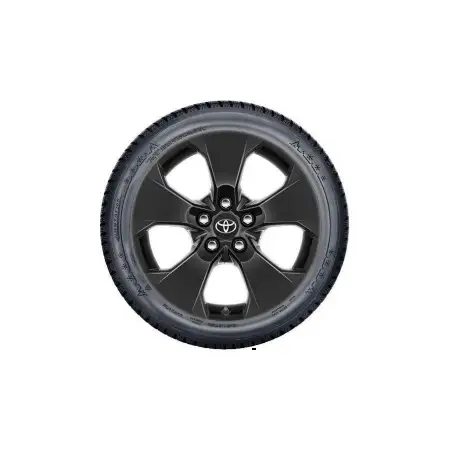 Orig. Toyota Winterkomplettr&auml;der RAV 4 ab 2019 225/65R17 TMEWA42118DY