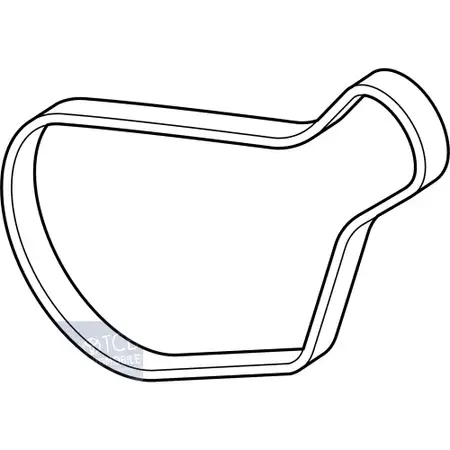 Orig. Jaguar Hauptriemen