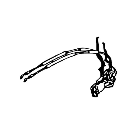 Orig. Mazda T&uuml;rschloss (t&uuml;r Vorn) Ne7559310k