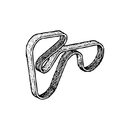 Orig. Renault Hauptriemen 8200833541