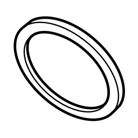 Orig. Renault Drosselklappendichtung 161759351r