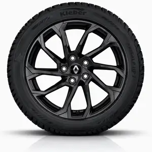 Orig. Renault 19 Zoll Winterr&auml;der Sc&eacute;nic E-Tech Electric Alu RE8 205/55 R19