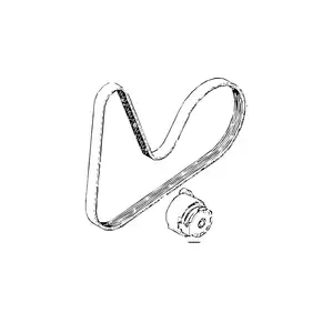 Orig. Renault Hauptriemen 117203694r