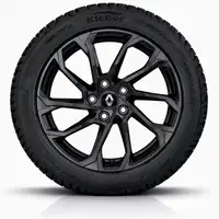 Orig. Renault 19 Zoll Winterr&auml;der Sc&eacute;nic E-Tech Electric Alu RE8 205/55 R19