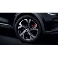 Renault Diebstahlsicherung f&uuml;r Stahlfelgen 8201724187