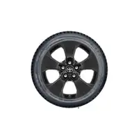 Orig. Toyota Winterkomplettr&auml;der RAV 4 ab 2019 225/65R17 TMEWA42118DY