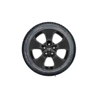 Orig. Toyota Winterkomplettr&auml;der RAV 4 ab 2019 225/65R17 TMEWA42118DY