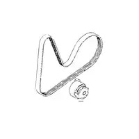 Orig. Renault Hauptriemen 117203694r