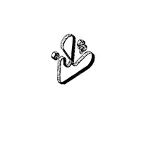 Orig. Renault Hauptriemensatz 117206746r