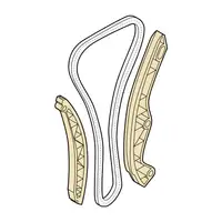Orig. Renault Zahnriemen/steuerketten Satz 130c11053r