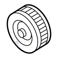 Orig. Jaguar Spannrolle Hauptriemen