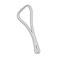 Orig. Land Rover Zahnriemen/steuerkette 1. Reihe Lr022847